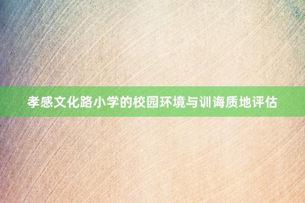孝感文化路小学的校园环境与训诲质地评估