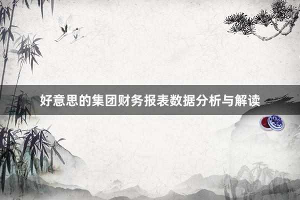 好意思的集团财务报表数据分析与解读