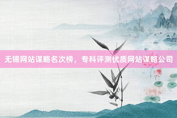 无锡网站谋略名次榜，专科评测优质网站谋略公司
