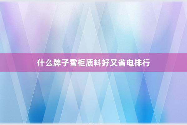 什么牌子雪柜质料好又省电排行